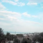 Sardunya 2*