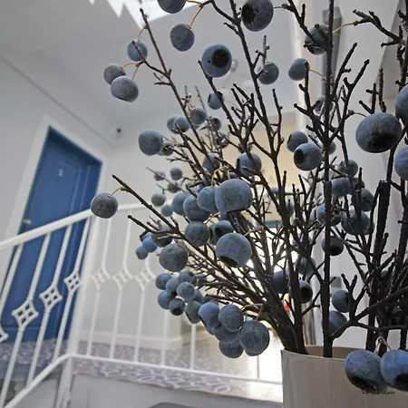 Sardunya 2* ボズカーダ