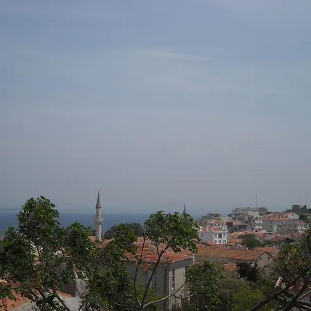 Sardunya 2*
