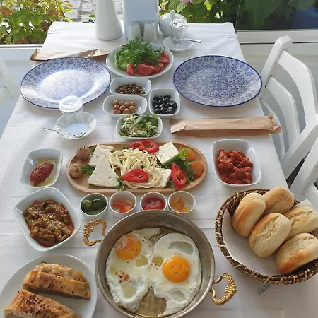 Sardunya ゲストハウス ボズカーダ