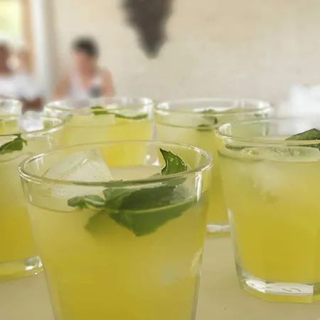 Sardunya 2* ボズカーダ