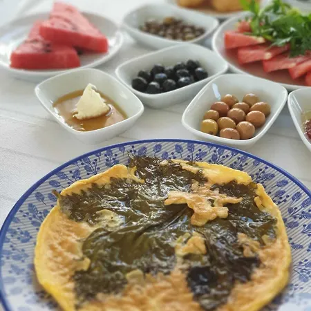 Sardunya ゲストハウス