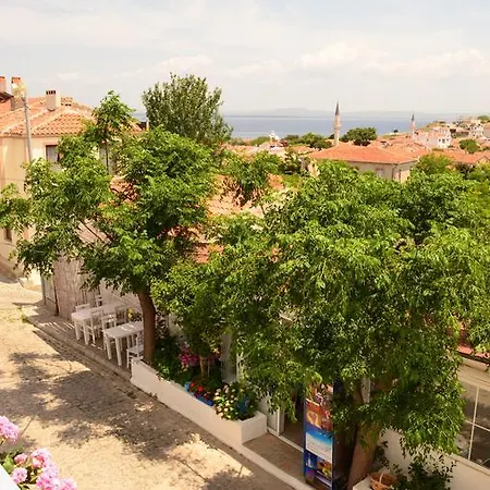 Sardunya Bozcaada