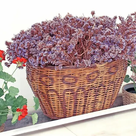 ゲストハウス Sardunya ボズカーダ