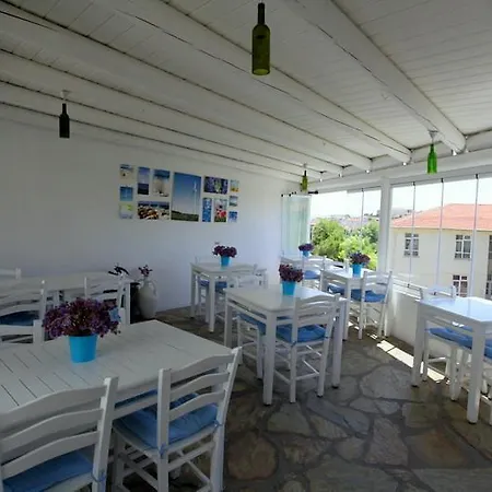 Sardunya 2* Bozcaada