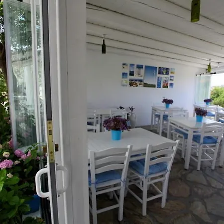 Sardunya ボズカーダ