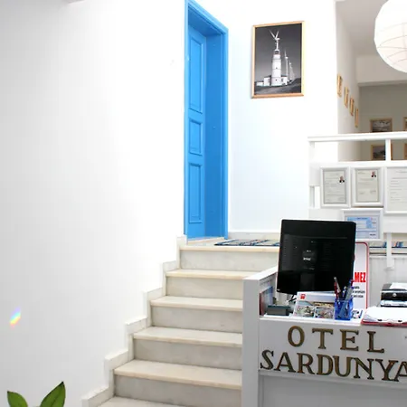 Sardunya 2* ボズカーダ